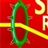 EG Sharp Rings
