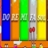 My xylophone